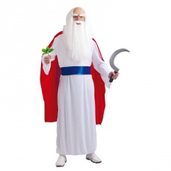 Kostým Kouzelník Druid